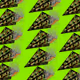 29674001202926300772579655912049851661852898953370146720103169259696736436225