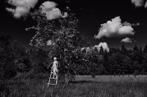 Item #81425468840217938130335513187731669853655760223415782332089084431645817176065 Media