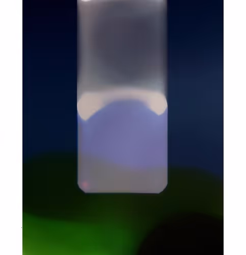 31182120923340344845195701619111845285504278140998064706956005774202373144577