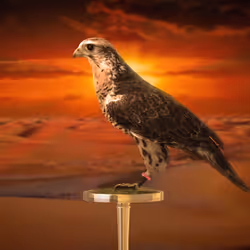 5362693153686757663037229957776630052012240176014263673100968367392387235841