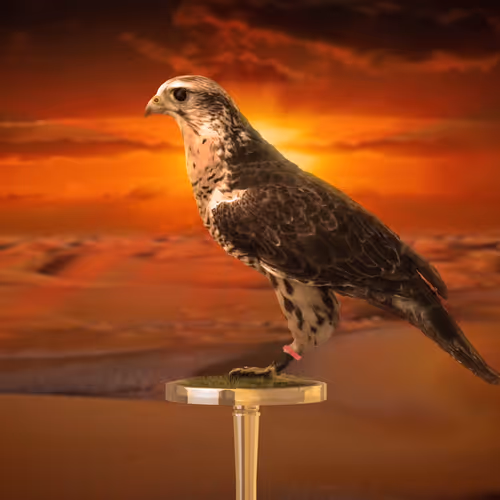 5362693153686757663037229957776630052012240176014263673100968367392387235841