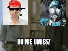 DOGEmemesNFT Collection