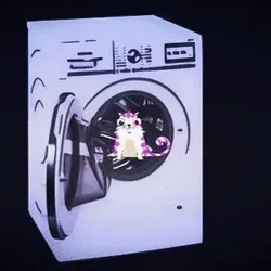 Laundry of the Kitty