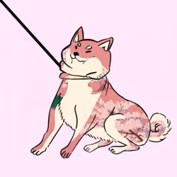 Sakura v2 Shiba