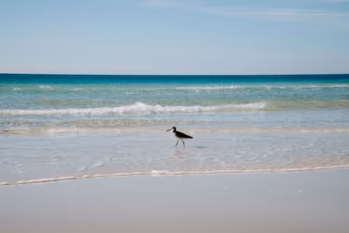 Item #114356424979646912091291396938675079969318378250921425408739931269321501704193 Media