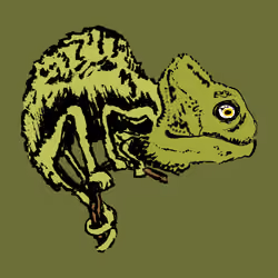 The Chameleon #1