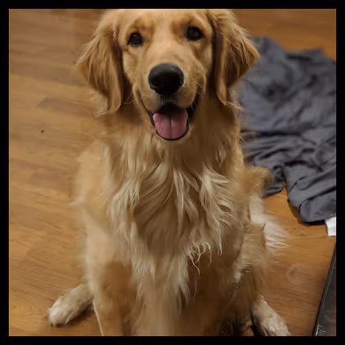 Item #106495276592435919470568425369488009874844936823784433162656833203952756457473 Media