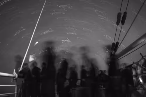 Item #34110083671509346653453586160941404072216291014688644284046702215259838480385 Media