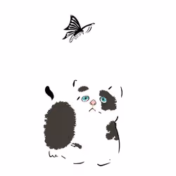 The beautiful kitten with a butterfly