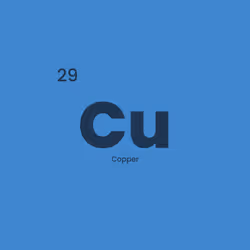 12332245684065198764694527978536122317407596672492401615866658101152219922433