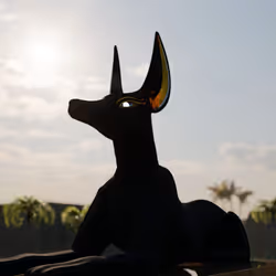 Anubis_007