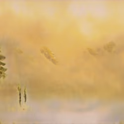 Mystic Morning