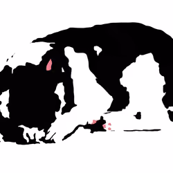 The Dog Black/White