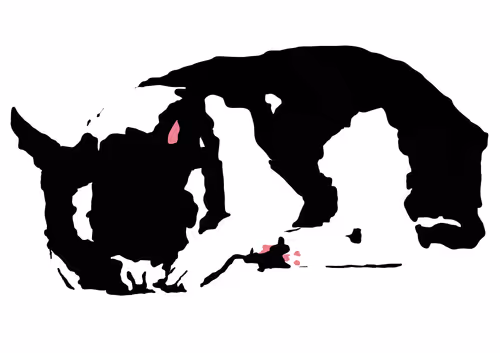 Item #95468806398916556343745173331234754431649902469107562897384924445875401392129 Media