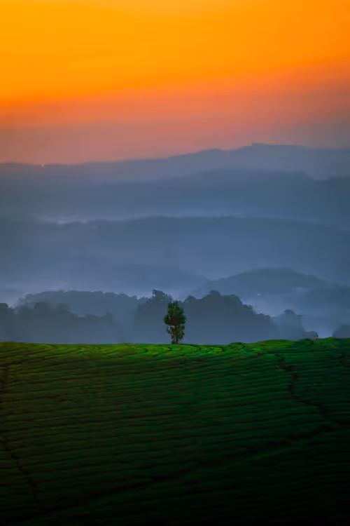 Item #87798985799507320700629747450071319071891674091342175736199796484990878875649 Media