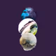 75428151114616994001468652014682096784330615103947316584335327420257878933505