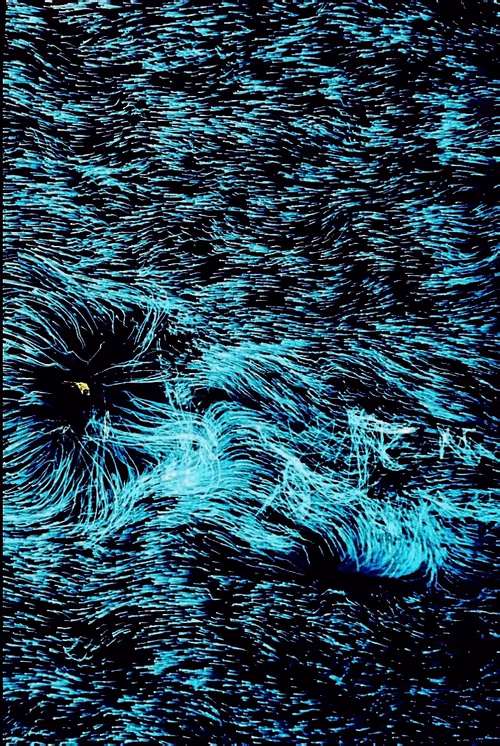 Item #88096187135023197502830601986588997816911014051700883464461199658687016206337 Media