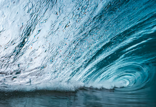 Item #19717472655541438358875111876949792254809295352552867053113992239362848325633 Media