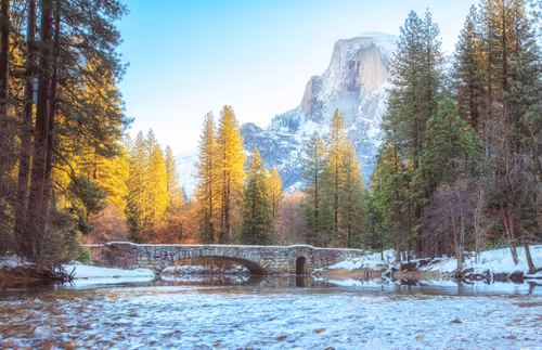 Item #56255535442096497166906347788118387649805429384771802547319845147878900105316 Media