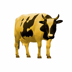 Crypto Cow Yellow