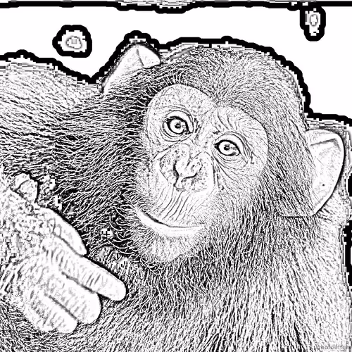 Item #38775667772334495200431258381610230883296000587885911426312875873680610033665 Media