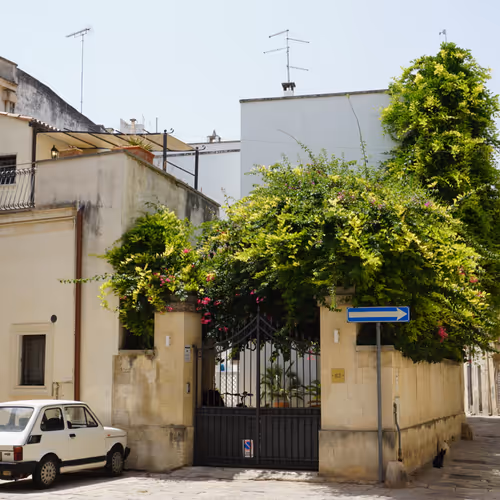 TheRealWizard Collection - old