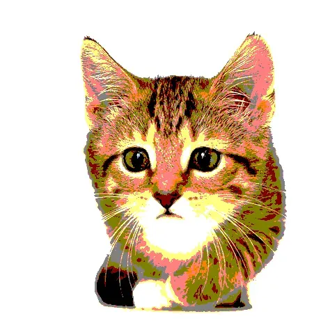 Item #23538819986925566434507765811444276093104658907602947149672917396583998291969 Media