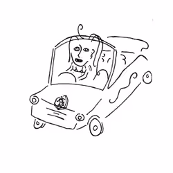 new car