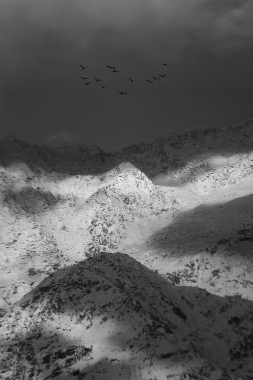 Item #107589578497142127915289393479888094113109607198782176209649620617564524642305 Media