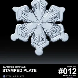 Captured Crystals #012 - Stamped Plate