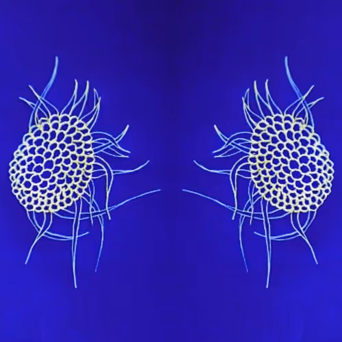 Item #19832004101531656811972308047203772218551587001470731304864672034760184299525 Media