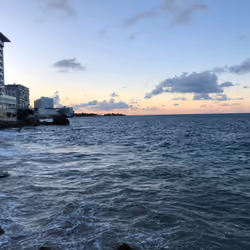 Calming Waves