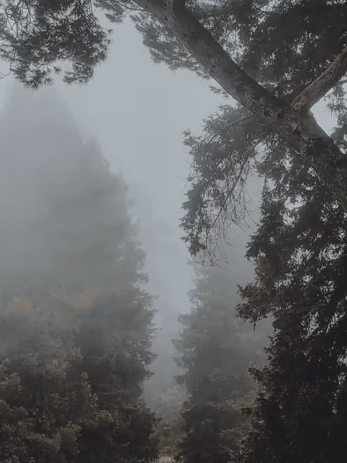 Item #31788909356613404137048829070137069187400346678612286943977180894956334612481 Media