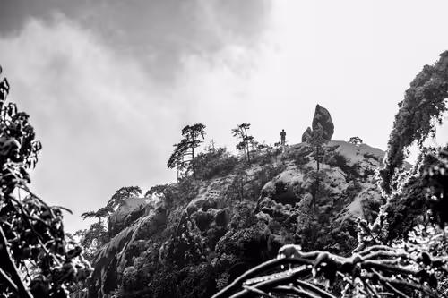 Item #84834639463328091260484975677994672960317612935287513554023818072834936143873 Media