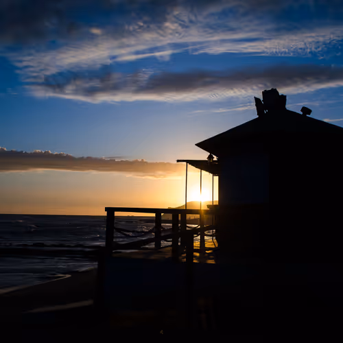 PhotoCoolNfT Collection