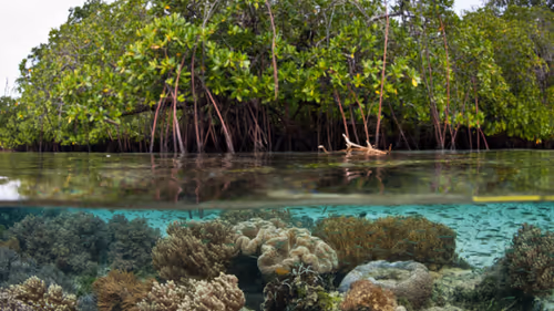 Item #103842889380389490974237418585488476385248358379383266595214697771092156612609 Media