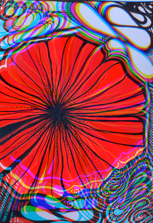 Item #68982312092038325108461803030057075878285591957393918966254143761021264723969 Media