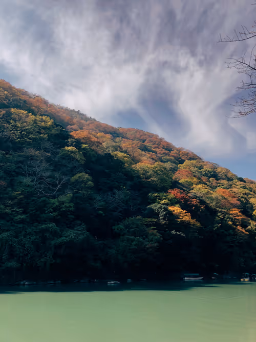 Item #115368833809961673005980439137084097562266501537687409809403123400629072953345 Media