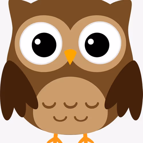 Untitled Collection #1893336797