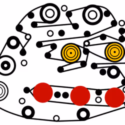 55777056284793190302882862371417502931428446131943145649948301424074193633281