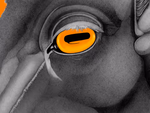 Item #1959722088444384967359689108687068082515891784654266495712107309968352346113 Media