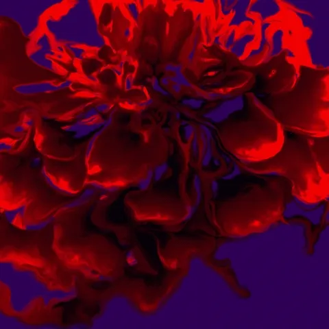 Cardiology Red in Deep Purple 