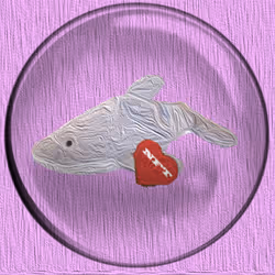 41776025324002017952572422073316458441069080831023694546850787120000454885377