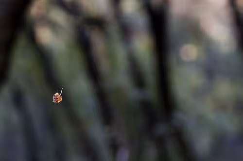 Item #44024487065254451978341284796523308956461514990321328857199441189305275383809 Media