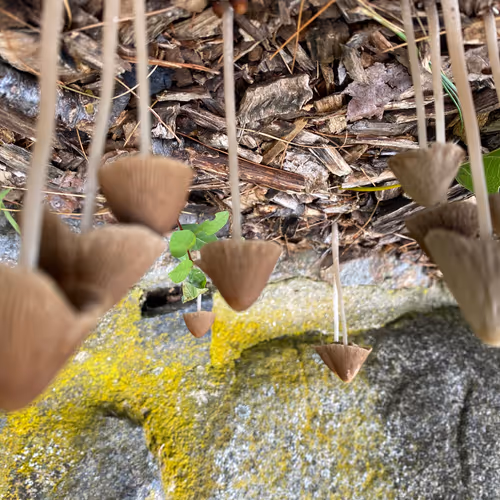 Untitled Collection #82190545