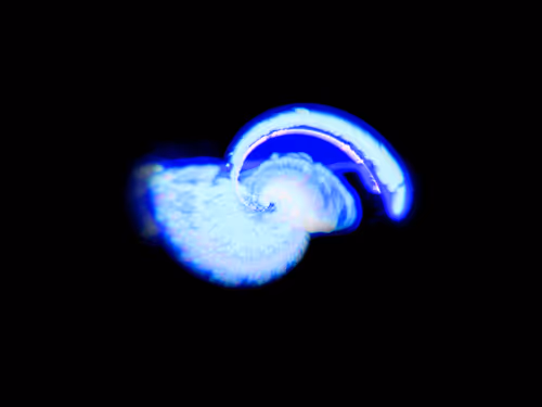 Item #45731211464929816441170859700976373292149702980452148839612469032571470086145 Media