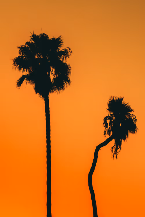 Item #35557780727049604459658880725917592814256363748111026780455796873952336281601 Media