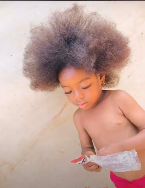 Item #26209948536456429086786957851548176886285338369987670620044959312350250270721 Media