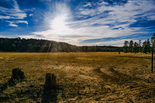 Item #104577317193629277838859014289850954037009501106472948457623431560155436679169 Media