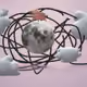 53076179463264538530616508848816031230953696613468154511839196199366541967361